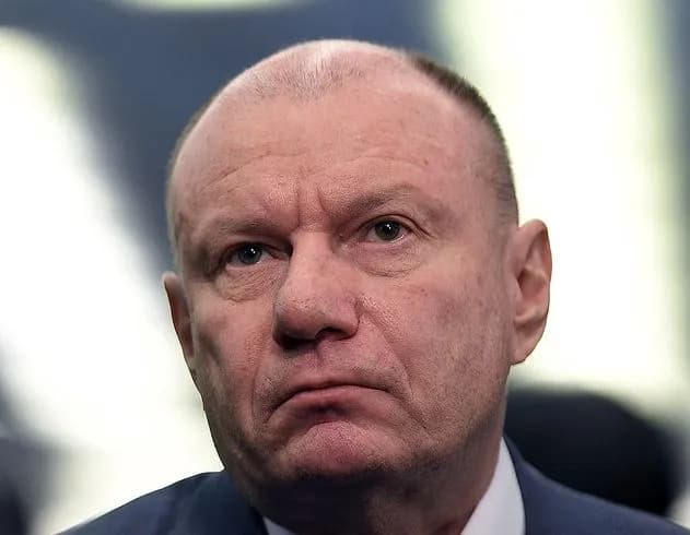 Владимир Потанин